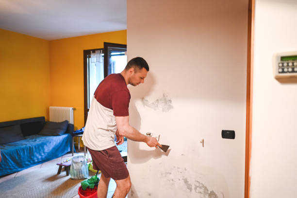 Best Toxic Mold Removal  in Irvine, KY